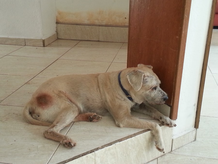 2014-09-26-15-02-15-1